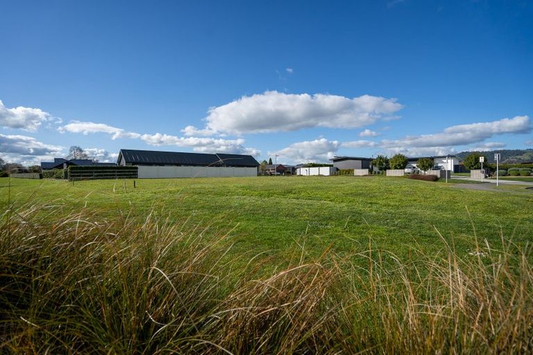 Photo of property in 10 Kotare Grove, Cambridge, 3434