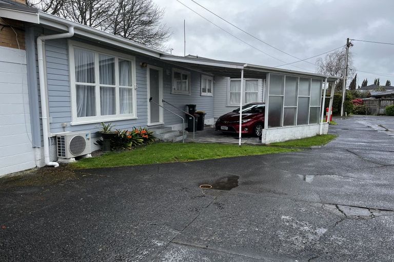 Photo of property in 52 Buscomb Avenue, Henderson, Auckland, 0610