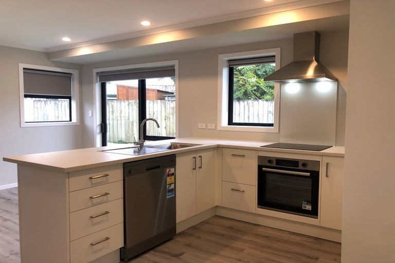 Photo of property in 8 Mcpherson Place, Fairfield, Hamilton, 3214