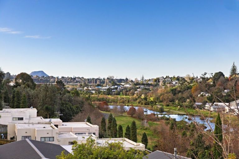 Photo of property in 98 Coopers Road, Gate Pa, Tauranga, 3112