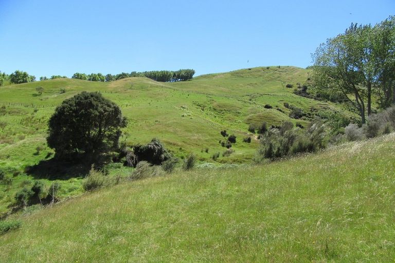 Photo of property in 3928 Porangahau Road, Porangahau, Waipukurau, 4284