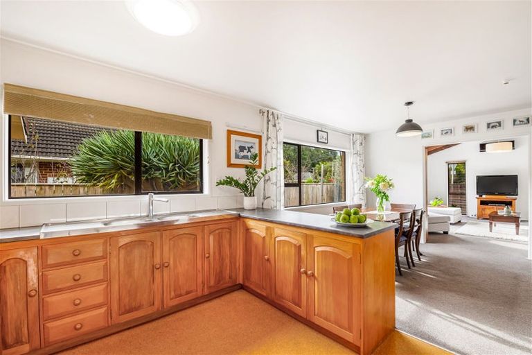 Photo of property in 1/10 Hillcrest Avenue, Hillcrest, Auckland, 0627
