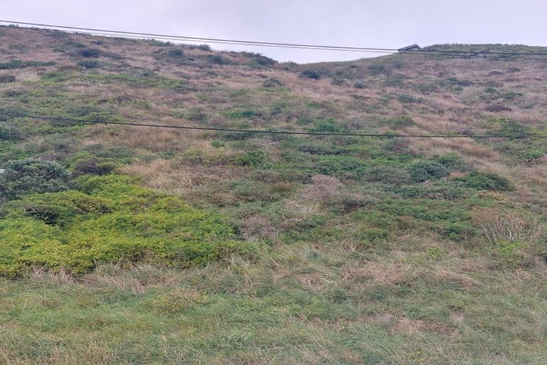 Photo of property in 50 Moa Point Road, Moa Point, Wellington, 6022