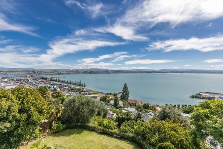 Photo of property in 159 Thompson Road, Bluff Hill, Napier, 4110