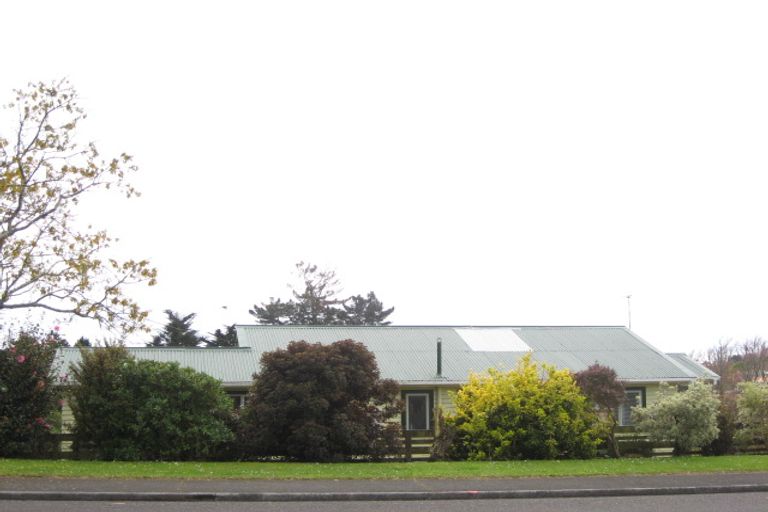 Photo of property in 11 Cowling Road, Hurdon, New Plymouth, 4310