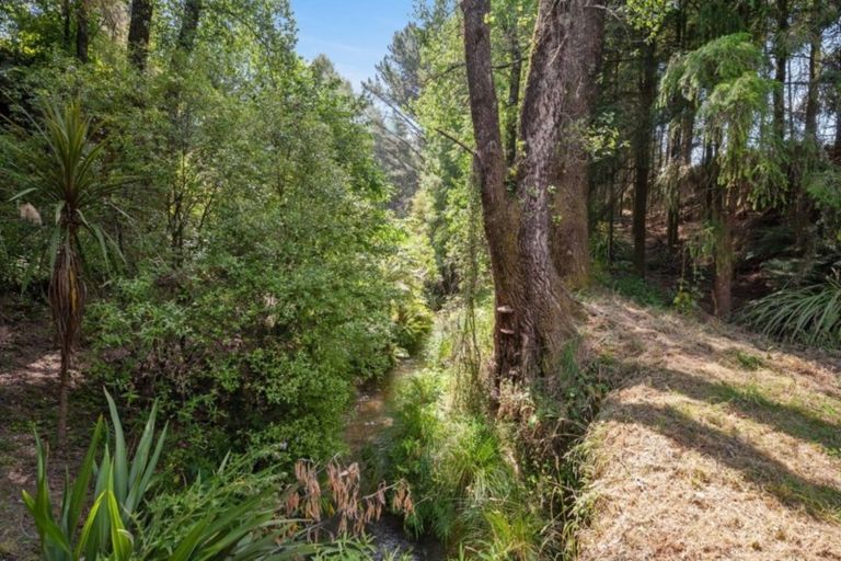 Photo of property in 57 Tiverton Downs Road, Broadlands, Reporoa, 3081