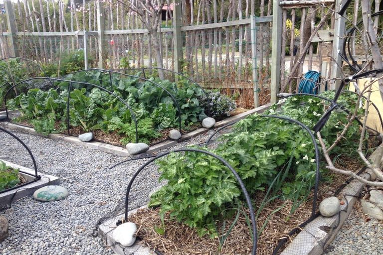 Photo of property in 8 Ocean View Terrace, Sumner, Christchurch, 8081