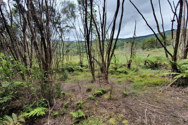 Photo of property in 574 Honeymoon Valley Road, Peria, Kaitaia, 0482