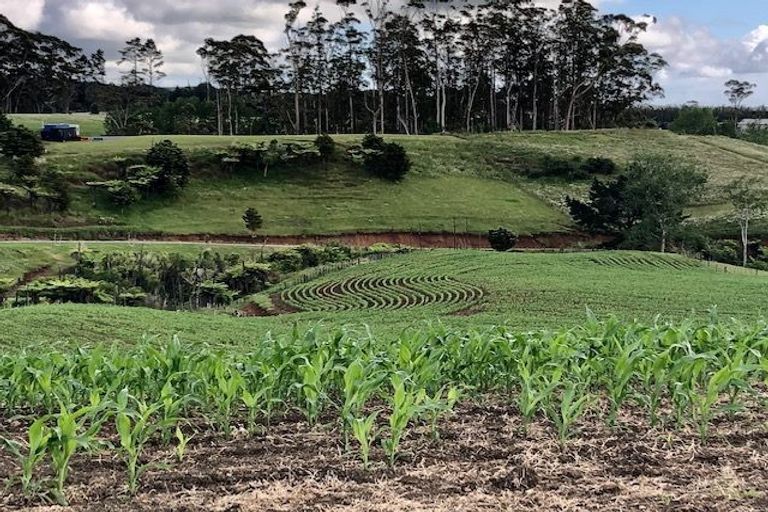 Photo of property in 190 Valencia Lane, Kerikeri, 0293