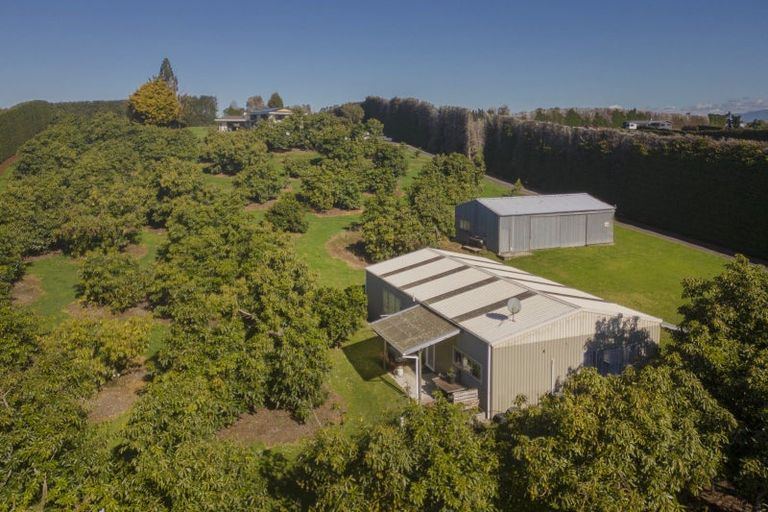 Photo of property in 210 Tuapiro Road, Tahawai, Katikati, 3170