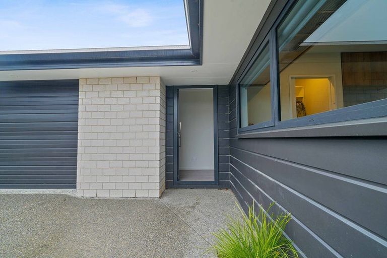Photo of property in 38 Mills Road, Marshland, Christchurch, 8051