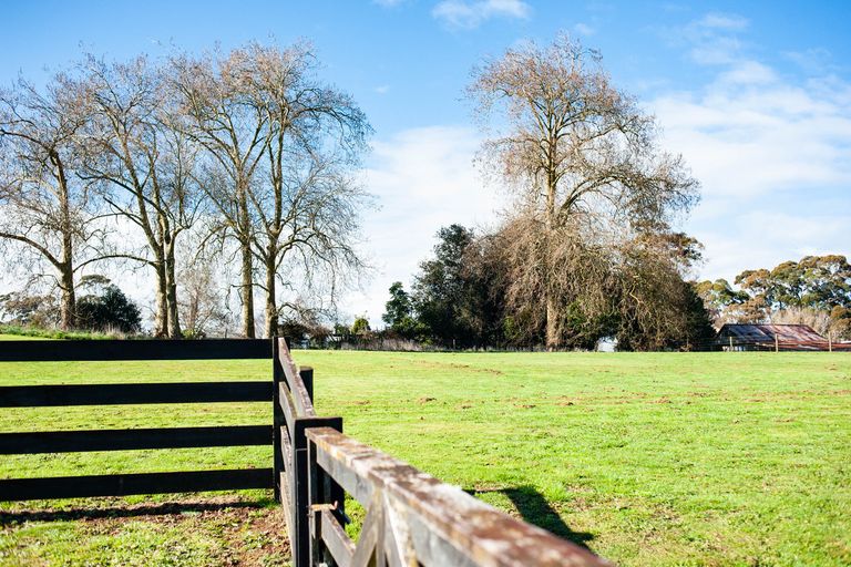 Photo of property in 300 Puahue Road, Te Awamutu, Cambridge, 3879