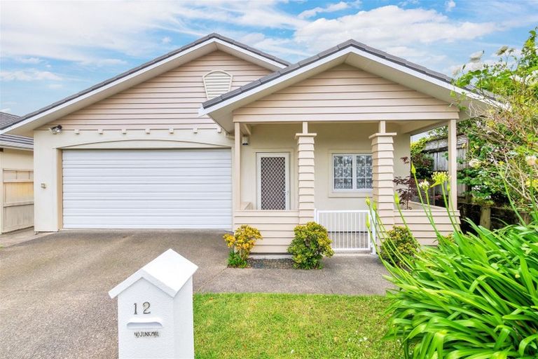 Photo of property in 12 Mulvaney Crescent, Henderson, Auckland, 0612