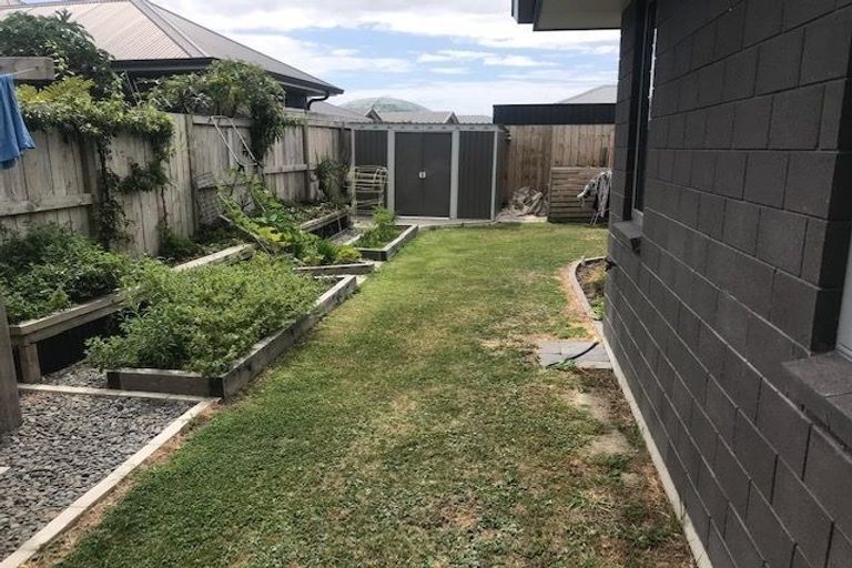 Photo of property in 64 Te Ranga Memorial Drive, Pyes Pa, Tauranga, 3112
