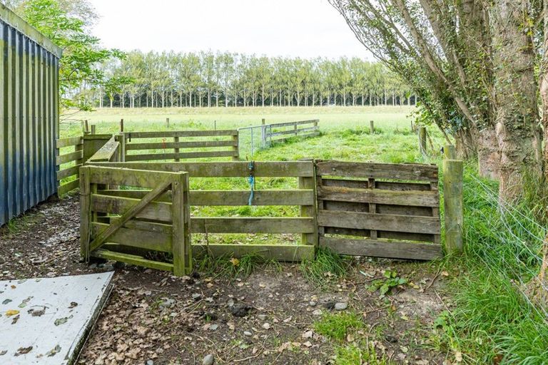 Photo of property in 20 Omara Road, Milford, Temuka, 7986