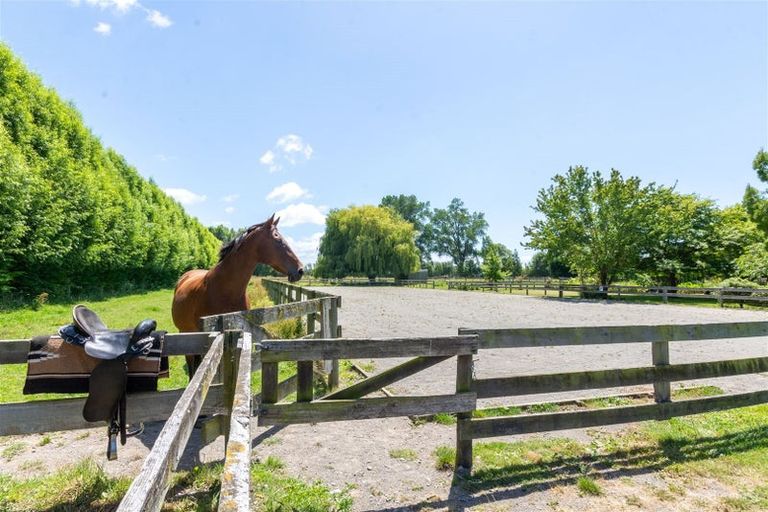 Photo of property in 100 Easterbrook Road, Fernside, Kaiapoi, 7691