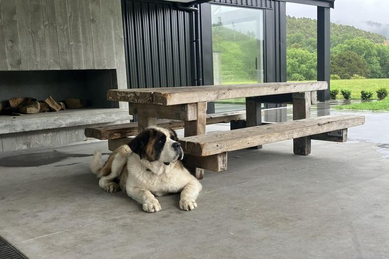 Photo of property in 387 Wentworth Valley Road, Whangamata, 3691