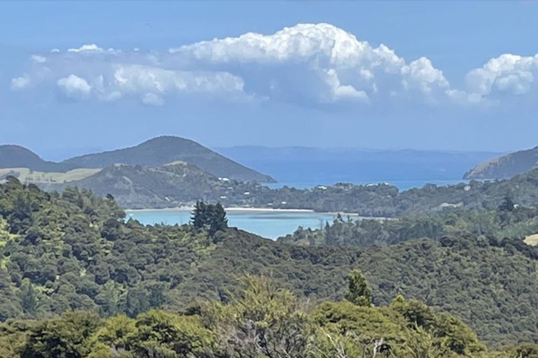 Photo of property in 800 Buffalo Road, Coromandel, 3506