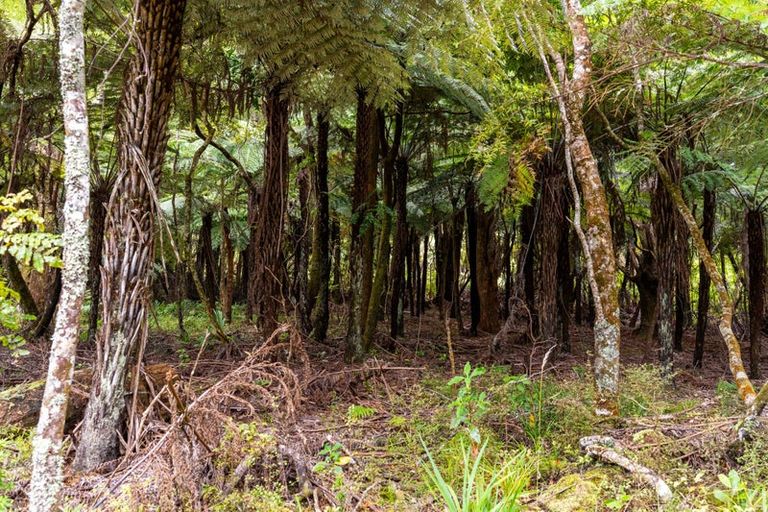 Photo of property in 4317 State Highway 12, Aranga, Dargaville, 0376