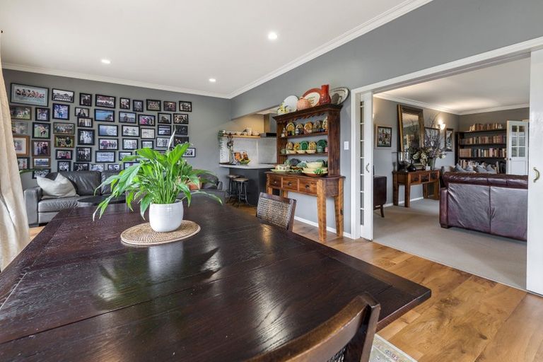 Photo of property in 22 Regent Street, Springfield, Rotorua, 3015