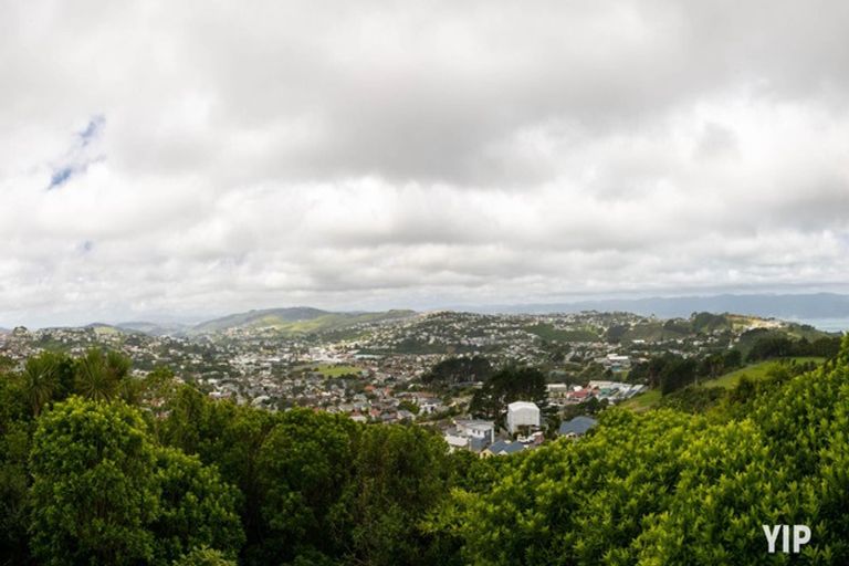 Photo of property in 60 Nalanda Crescent, Broadmeadows, Wellington, 6035