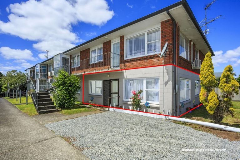 Photo of property in 1/100 Saint Lukes Road, Sandringham, Auckland, 1025