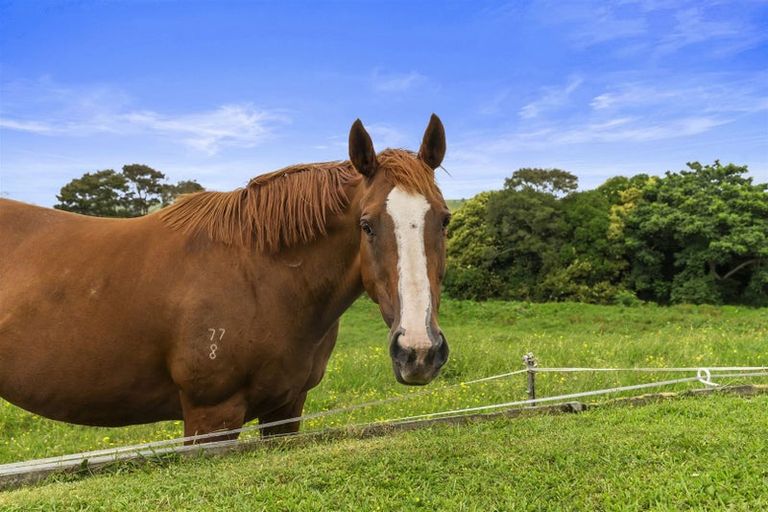 Photo of property in 2242 State Highway 26, Motumaoho, Morrinsville, 3372