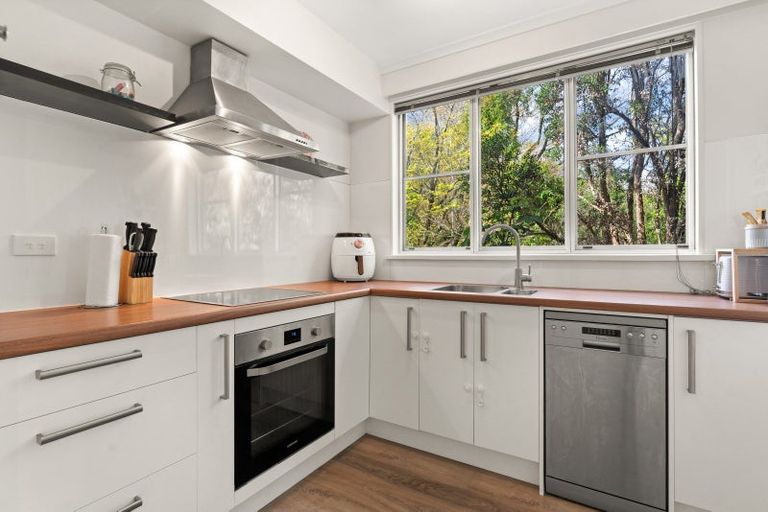 Photo of property in 39a Opoho Road, North East Valley, Dunedin, 9010