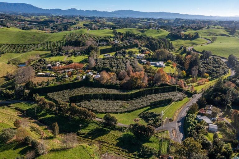 Photo of property in 394 Old Highway, Whakamarama, 3180