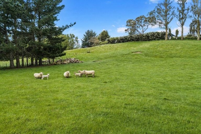 Photo of property in 1316 Kakaramea Road, Ngahinapouri, Ohaupo, 3882