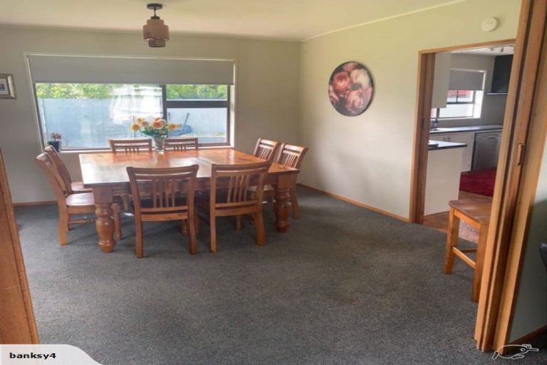 Photo of property in 13 Mason Place, Allenton, Ashburton, 7700