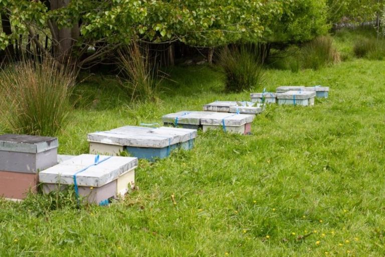 Photo of property in 186 Kaukatea Valley Road, Okoia, Wanganui, 4582