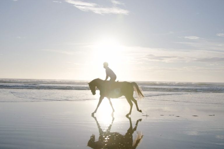 Photo of property in Pourerere Road, Pourerere, Waipawa, 4271