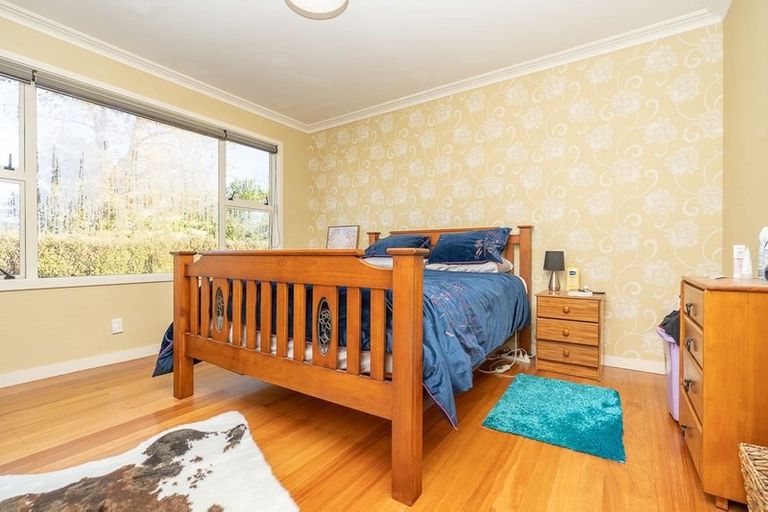 Photo of property in 20 Piako Road, Claudelands, Hamilton, 3214