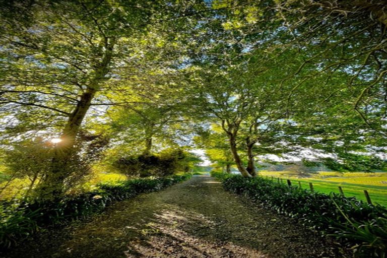 Photo of property in 1320 Highway 22, Pukekawa, Tuakau, 2696