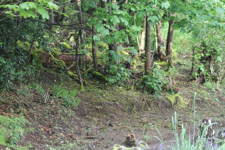 Photo of property in 7 Utuhia Place, Ohakune, 4625