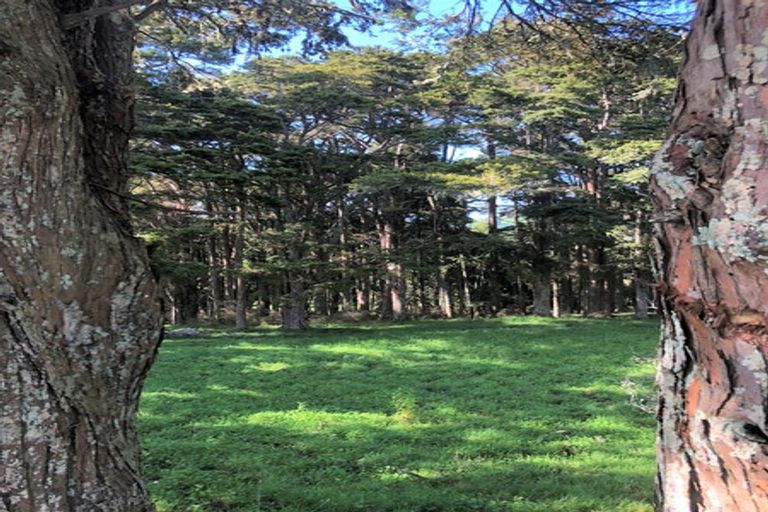 Photo of property in 504b Wairere Road, Maungaturoto, 0571