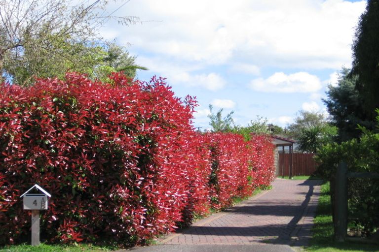 Photo of property in 4 Elizabeth Street, Tauhara, Taupo, 3330