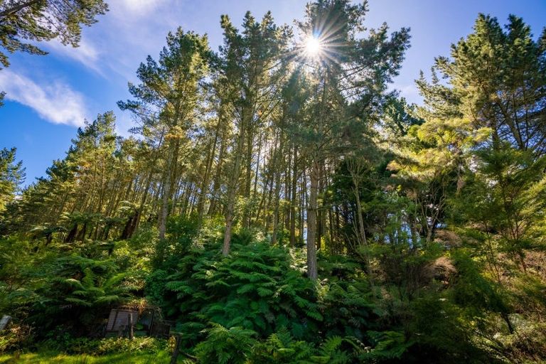 Photo of property in 629a Hakarimata Road, Ngaruawahia, Huntly, 3771