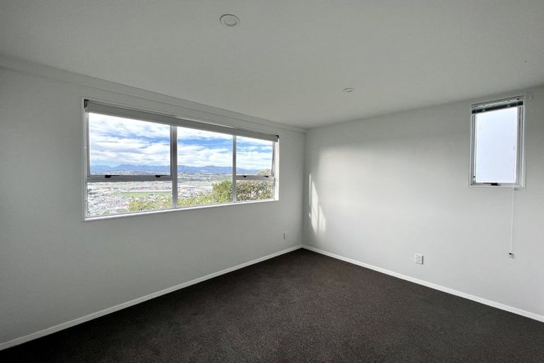 Photo of property in 53 Sutherland Road, Melrose, Wellington, 6023