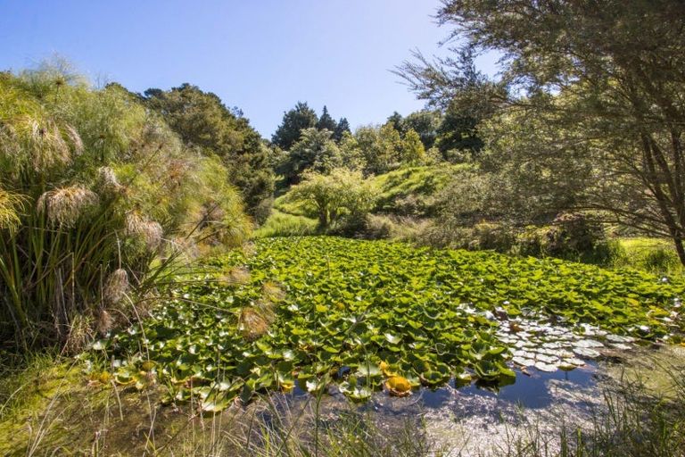 Photo of property in 189 Thompsons Track, Aongatete, Katikati, 3178