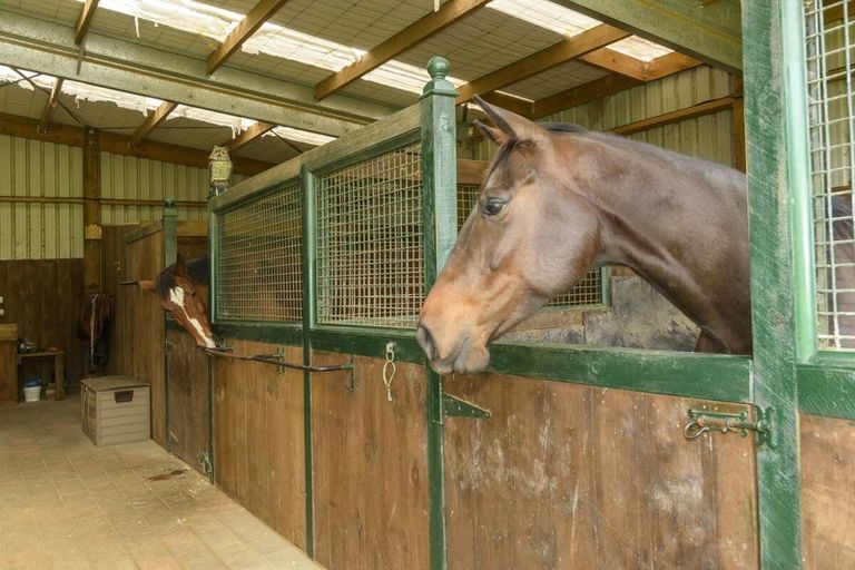 Photo of property in 274 Hot Springs Road, Tahawai, Katikati, 3178