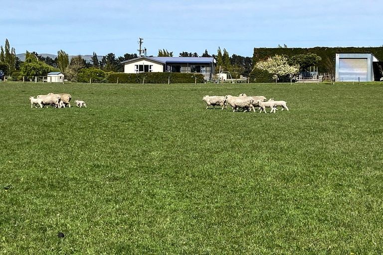 Photo of property in 192 Beck Road, Balfour, 9779