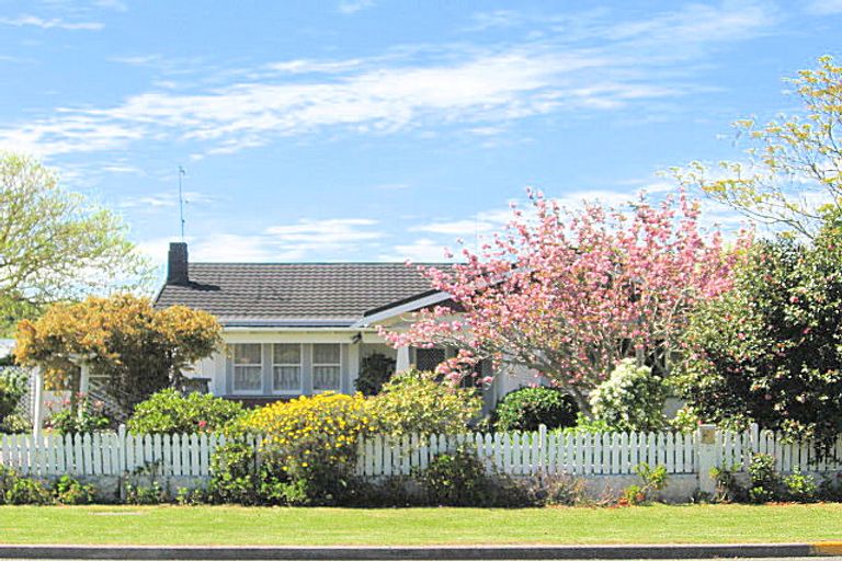 Photo of property in 141 Harris Street, Inner Kaiti, Gisborne, 4010
