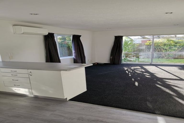 Photo of property in 22 Coles Place, St Albans, Christchurch, 8014