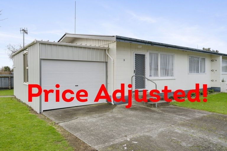 Photo of property in 1/145 College Street, Awapuni, Palmerston North, 4412