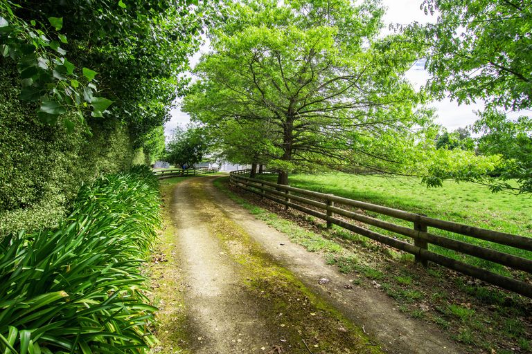 Photo of property in 94 Kahikatea Road, Te Ore Ore, Masterton, 5886