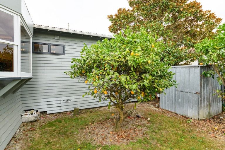 Photo of property in 9 Burns Avenue, Takaro, Palmerston North, 4412