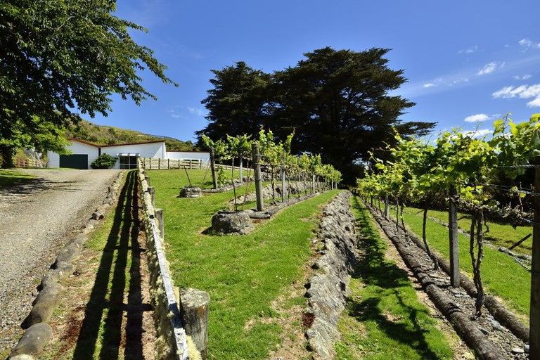 Photo of property in 18 King Street, Motu, Te Karaka, 4092