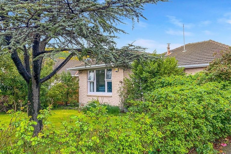 Photo of property in 294 Opawa Road, Hillsborough, Christchurch, 8022